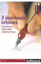 3 journaux intimes