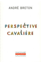 Perspective cavaliere