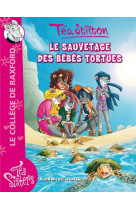 Le sauvetage des bebes tortues