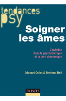 Soigner les âmes - l'invisible dans la psychothérapie et la cure chamanique