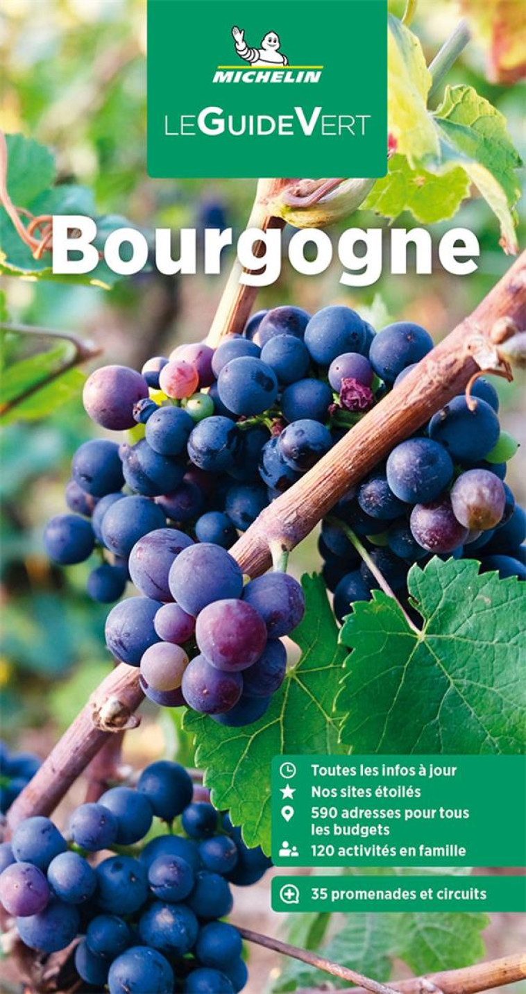 GUIDE VERT BOURGOGNE - XXX - MICHELIN