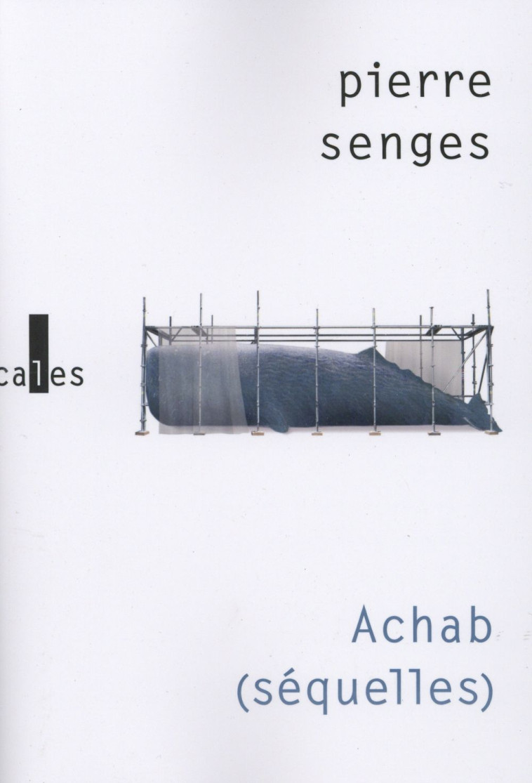 ACHAB (SEQUELLES) - SENGES PIERRE - Verticales