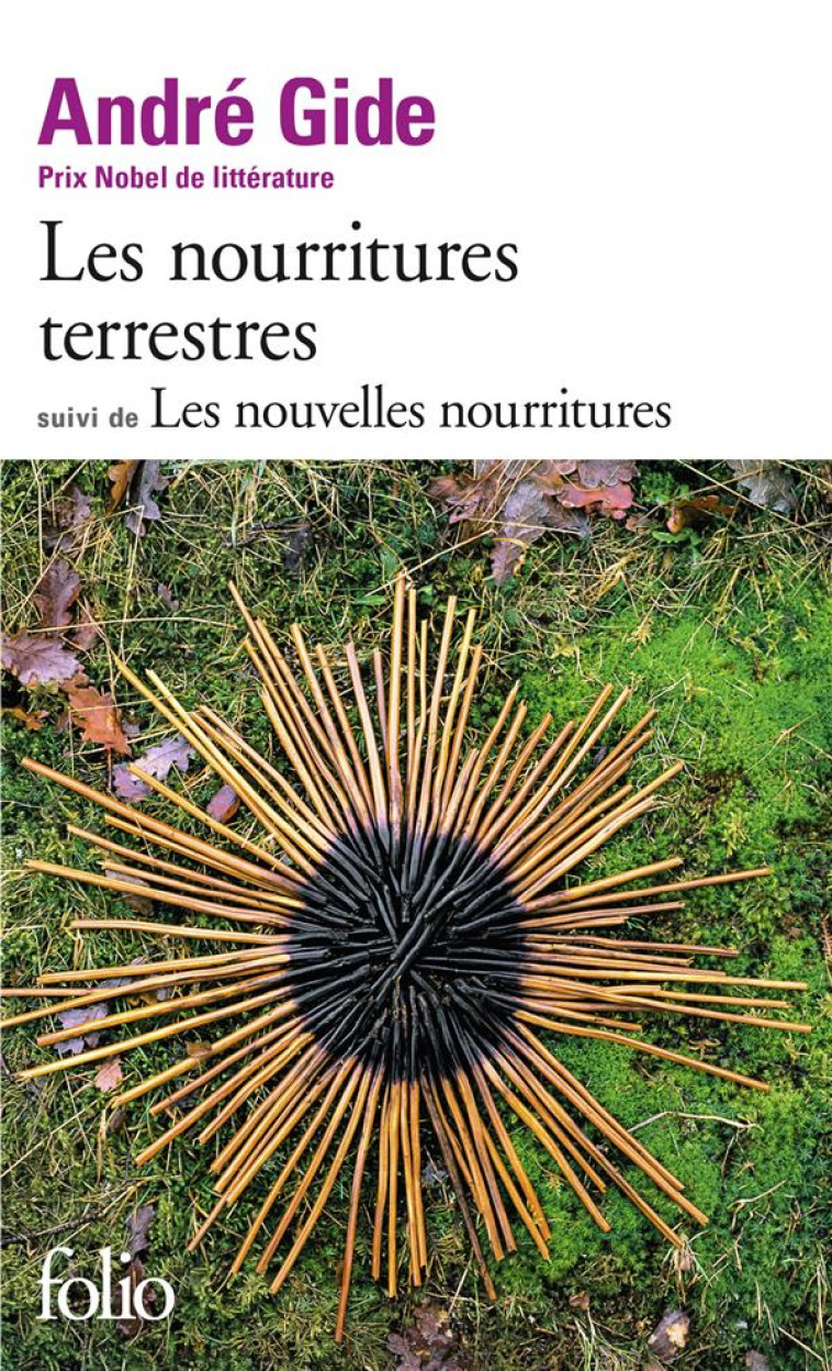 LES NOURRITURES TERRESTRES / LES NOUVELLES NOURRITURES - GIDE ANDRE - GALLIMARD