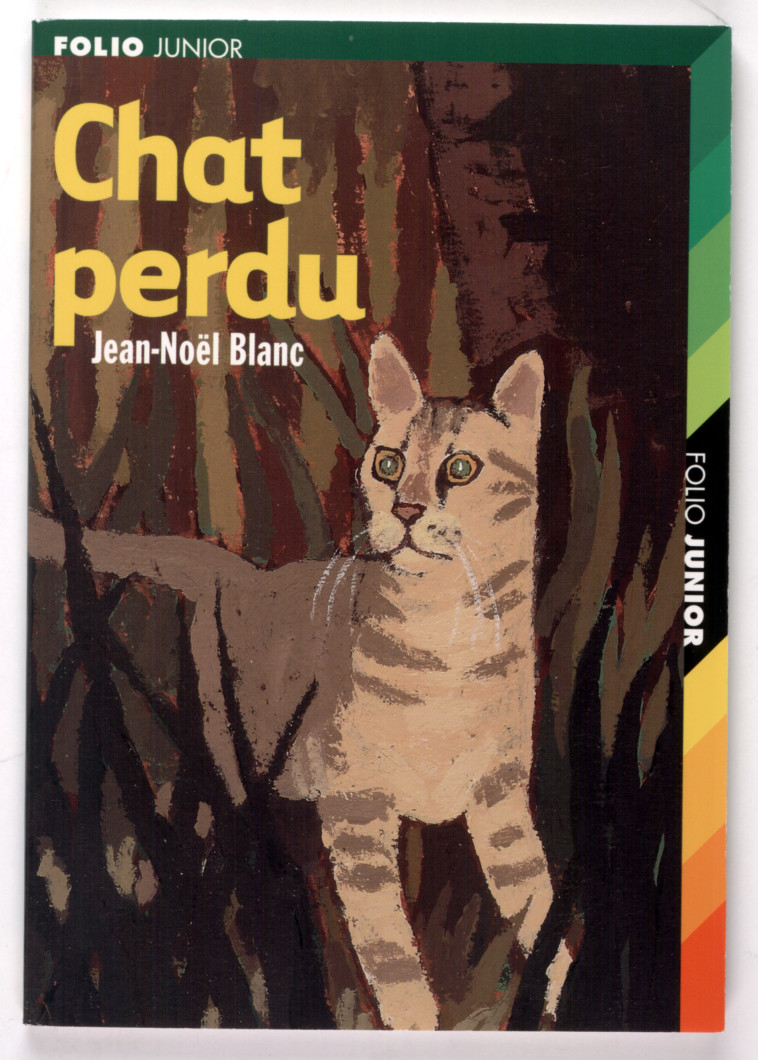 CHAT PERDU - Jean-Noël Blanc - GALLIMARD JEUNE