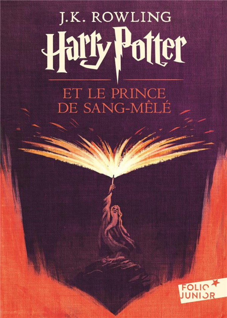 HARRY POTTER - VI - HARRY POTTER ET LE PRINCE DE SANG-MELE - EDITION 2017 - ROWLING J.K. - Gallimard-Jeunesse