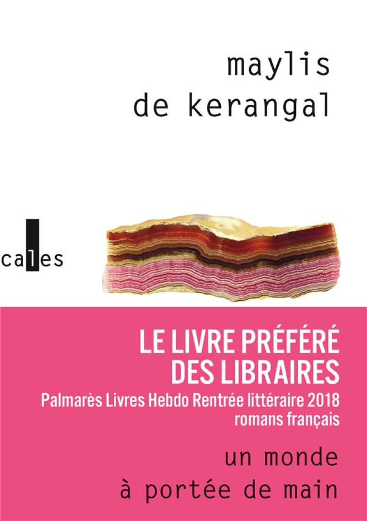 UN MONDE A PORTEE DE MAIN - KERANGAL MAYLIS DE - GALLIMARD