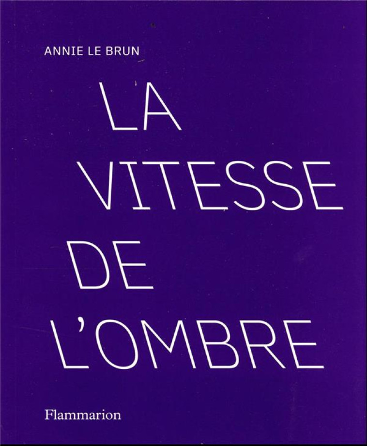 LA VITESSE DE L-OMBRE - LE BRUN ANNIE - FLAMMARION