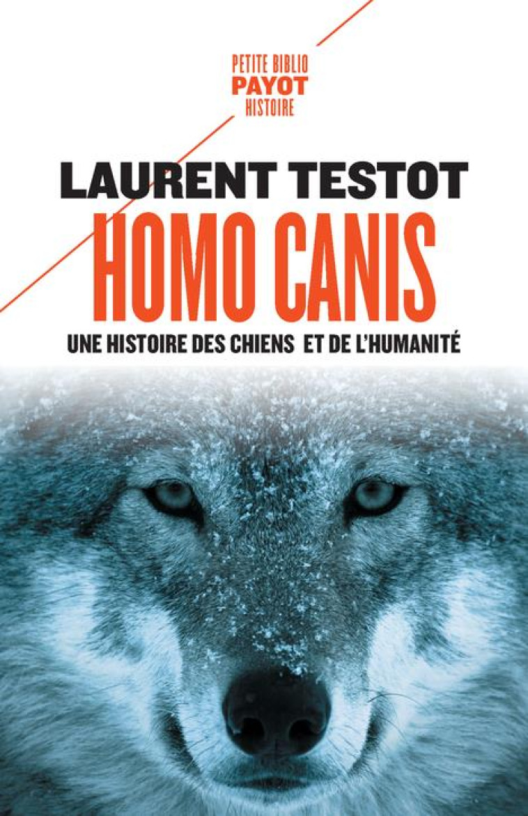 HOMO CANIS - UNE HISTOIRE DES CHIENS ET DE L-HUMANITE - TESTOT LAURENT - PAYOT POCHE