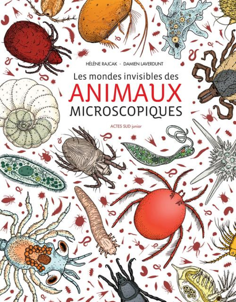 LES MONDES INVISIBLES DES ANIMAUX MICROSCOPIQUES - ILLUSTRATIONS, COULEUR - LAVERDUNT/RAJCAK - Actes Sud junior