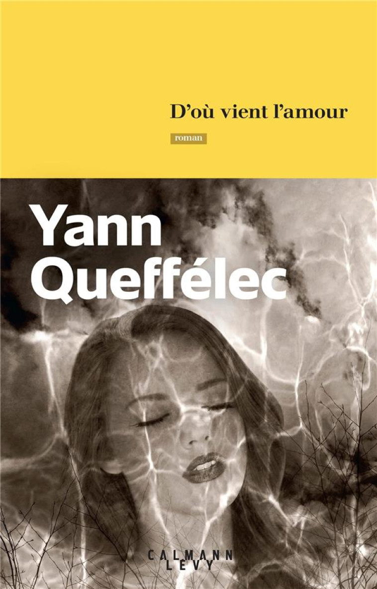 D-OU VIENT L-AMOUR - QUEFFELEC YANN - CALMANN-LEVY