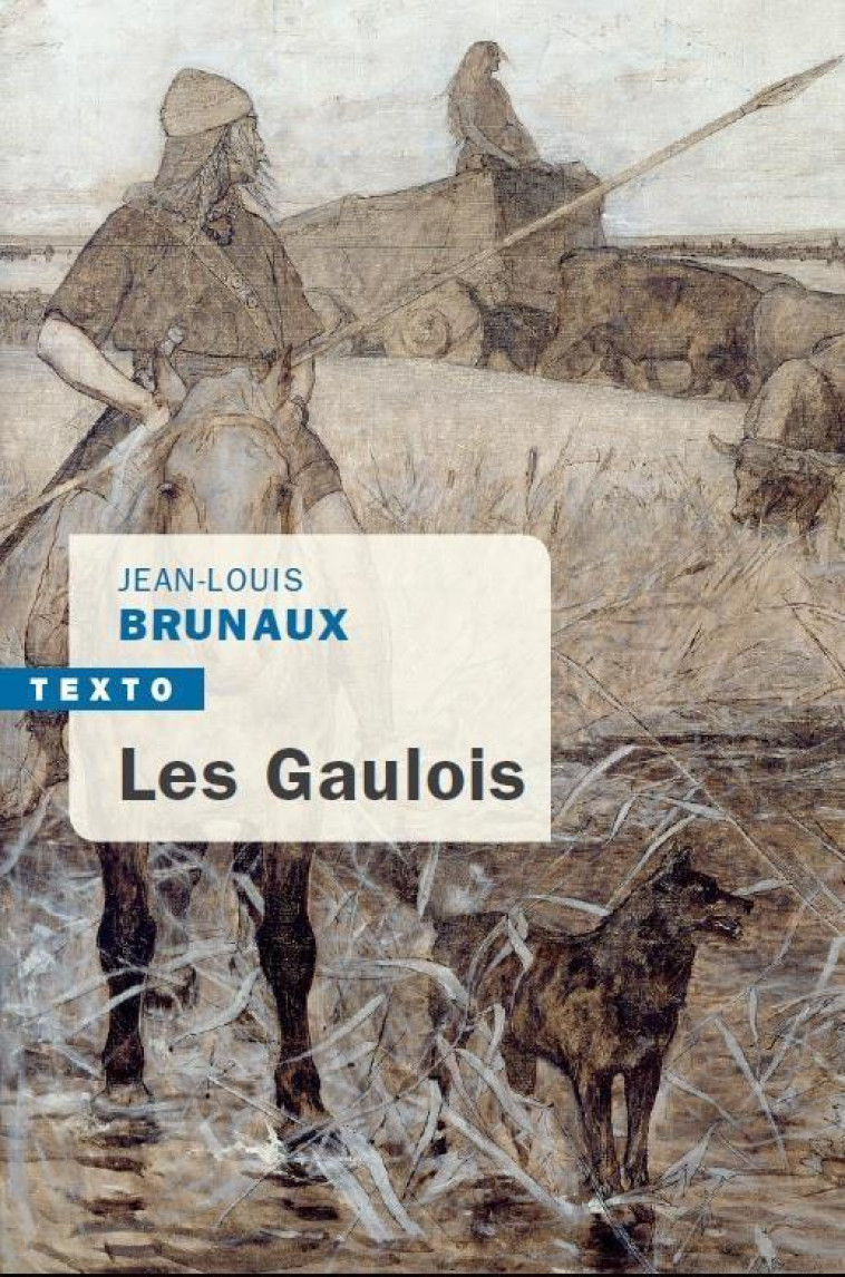 LES GAULOIS - BRUNAUX JEAN-LOUIS - TALLANDIER