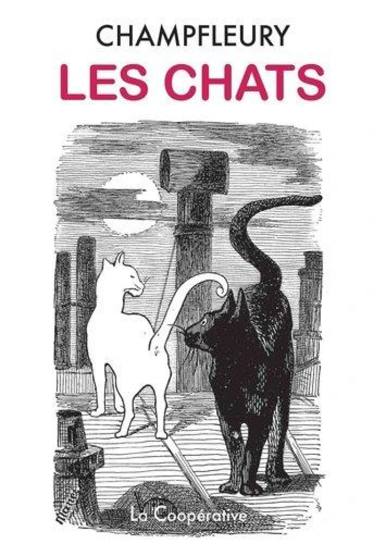 LES CHATS - HISTOIRE, MOEURS, OBSERVATIONS, ANECDOTES. - ILLUSTRATIONS, NOIR ET BLANC - CHAMPFLEURY - COOPERATIVE