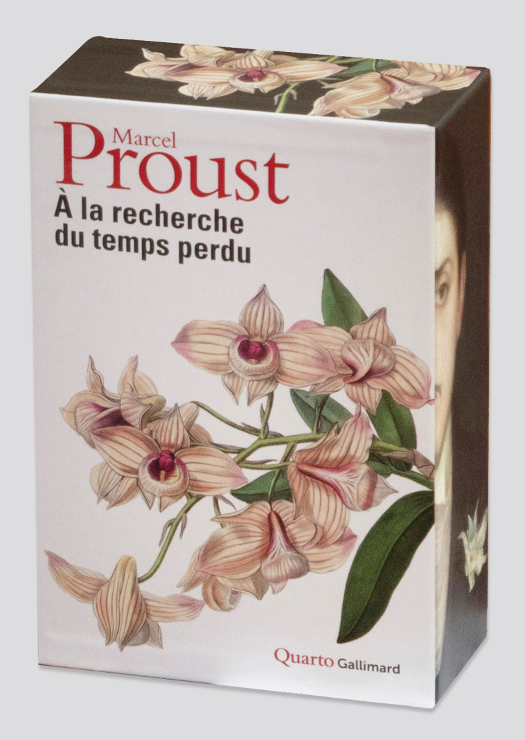 À la recherche du temps perdu - Marcel Proust, Jean-Yves Tadié - GALLIMARD